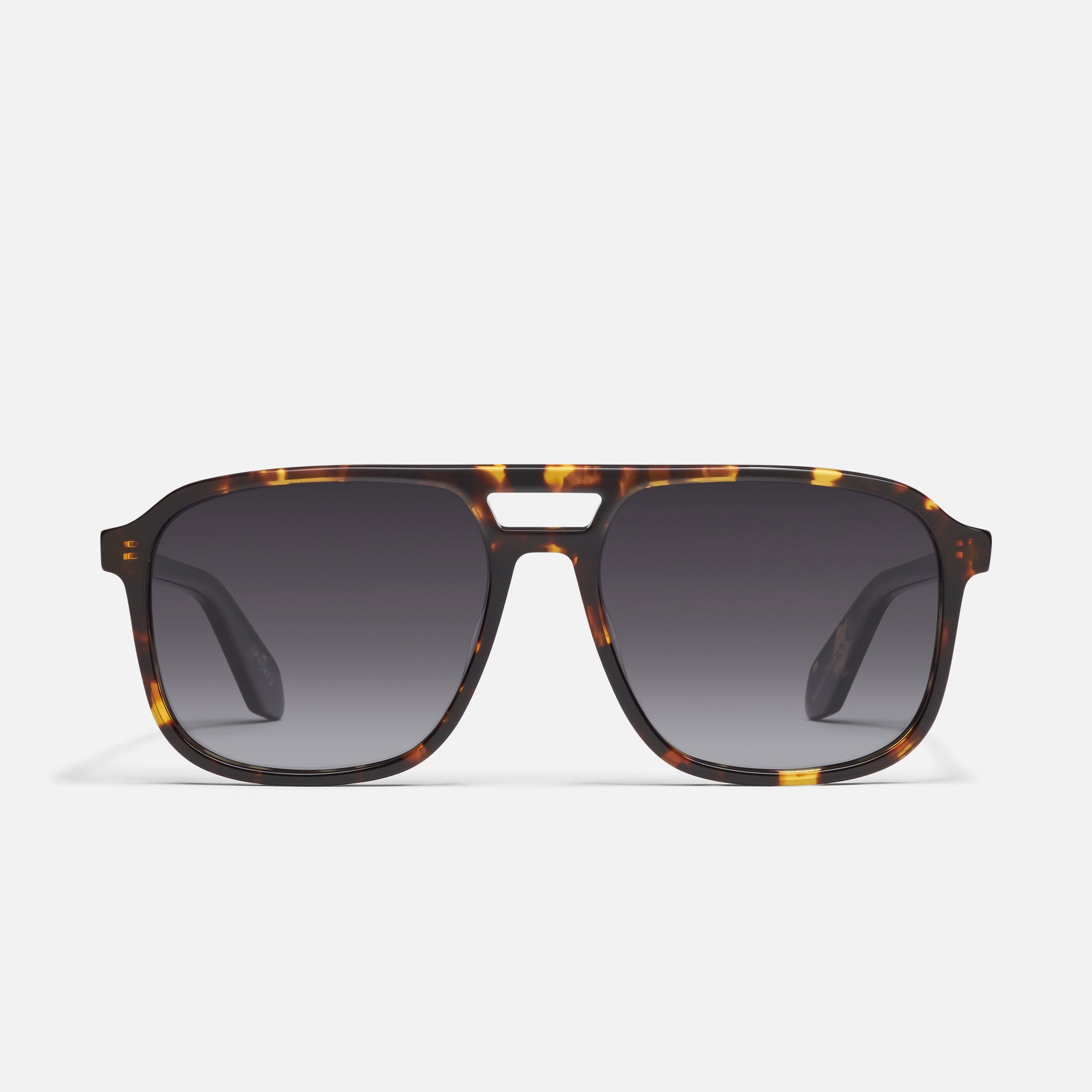 On The Fly Polarized Tortoise/ Smoke