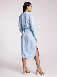 Ainsley Dress in Blue Microstripe