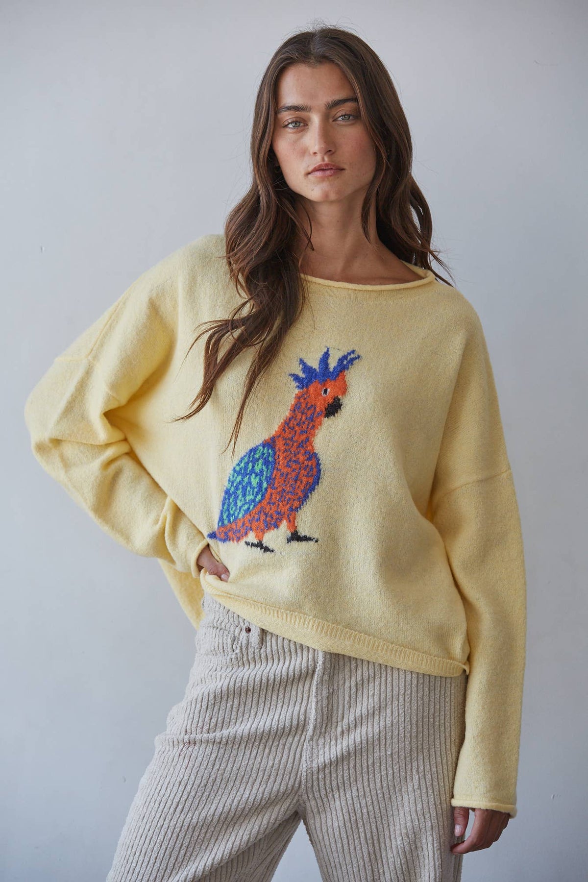 Bird Lover Sweater