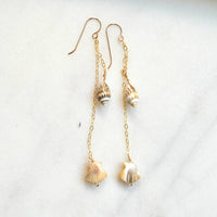 Dangling Shell Earrings