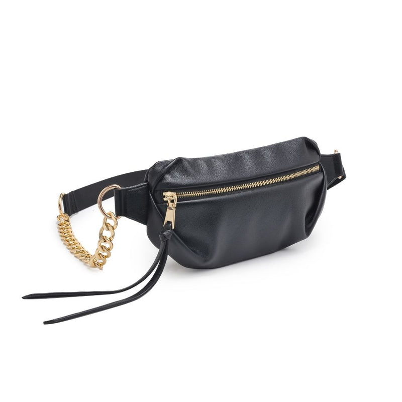 Celine Belt Bag in Black